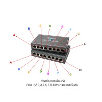 Gigabit Media Converter IN8 OUT8 VLAN Point To Point