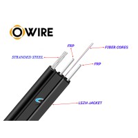 สายไฟเบอร์ออฟติก 2 Core 250 เมตร + Media DX 1G