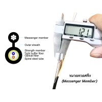 FTTH SM FIG8 Armored 2C เข้าหัว SC/UPC (150M)