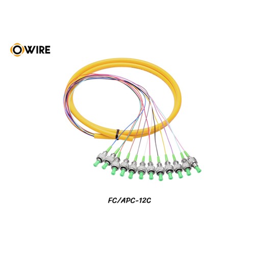 Pigtail 12 Core FC/APC SM 0.9mm ยาว 1.5 เมตร Pigtail 12 Core FC/APC SM 0.9mm ยาว 1.5 เมตร