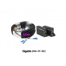 สายไฟเบอร์ออฟติก 2 Core 100 เมตร + Media DX 1G