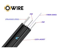 สายไฟเบอร์ออฟติก 1 Core 250 เมตร + Media BIDI 1G