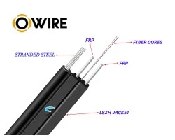 สายไฟเบอร์ออฟติก 2 Core 300 เมตร + Media DX 1G